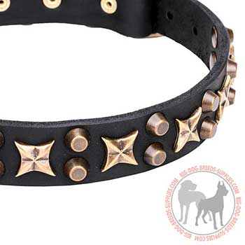 Walking Leather Collar with Bronze Plated Decoration