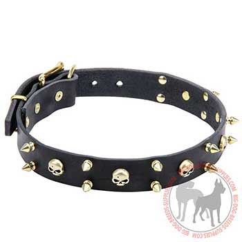 Leather Dog Collar with Brutal Decoration