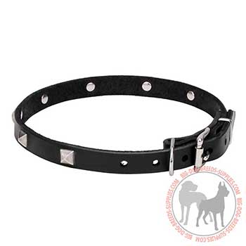 Decorated Leather Dog Collar with Strong Hardware