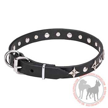 Leather Dog Collar - Durable Walking Tool