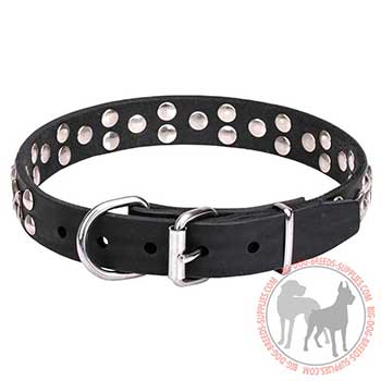 Leather Dog Collar - Lasting Walking Supply