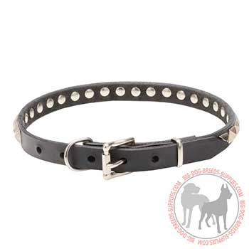 Black Leather Collar with Studs