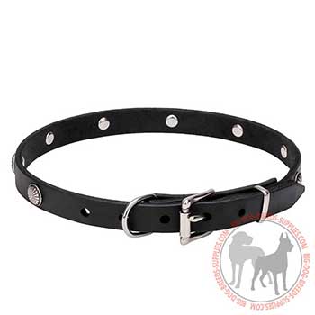 Leather Dog Collar with Buckle and D-ring