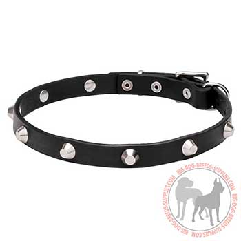 Dog Leather Collar with Rust Resistant Plates