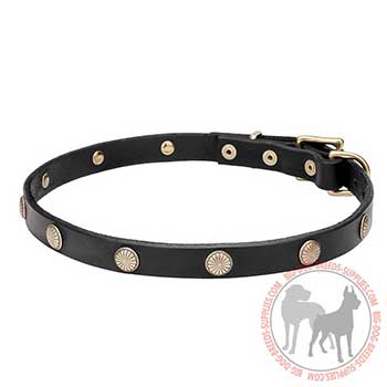 Leather Dog Collar - Reliable Walking Accessory