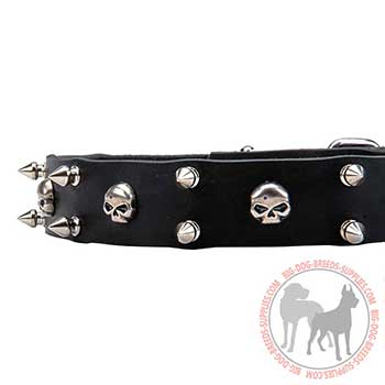 Decorated Leather Dog Collar for Walking