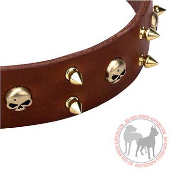 Leather Collar with Spikes and Skulls