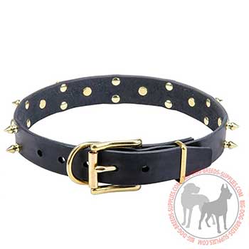 Strong Leather Collar with Brass Hardware
