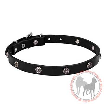 Elegant Leather Collar with Studs