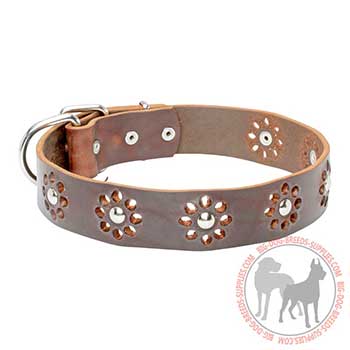 Leather Collar for Canine Stylish Walking