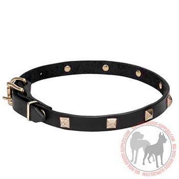 Collar of Leather for Elegant Canine