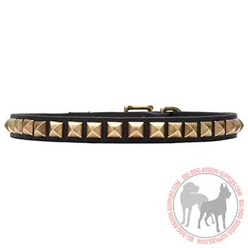 Decorated Leather Dog Collar for Walking in Style
