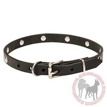 Leather Dog Collar with Reliable Hardware