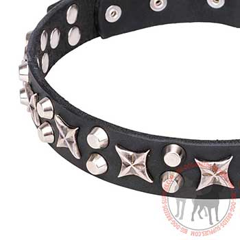 Leather Dog Collar with Big Decorative Elements