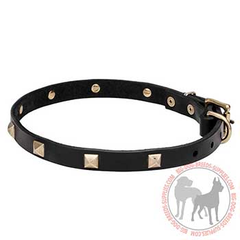 Leather Dog Collar with Narrow Strap