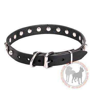 Leather Dog Collar with Nickel-plated Buckle