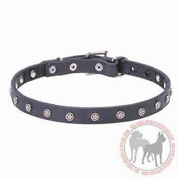 Leather Dog Collar with Elegant Decoration