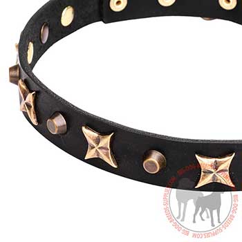 Strong Leather Collar with Old-like Pyramids and Stars