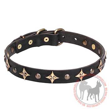 Leather Dog Collar - Daily Stylish Walking