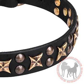 Leather Dog Collar wit Riveted Studs