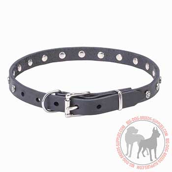 Strong Leather Collar with Nickel-plated Hardware