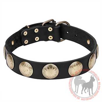 Leather Collar for Canine Trendy Walking