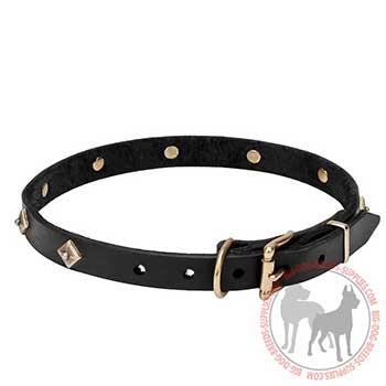 Leather Dog Collar with Corrosion-proof Hardware