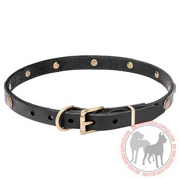 Lasting Leather Dog Collar with Reliable Hardware