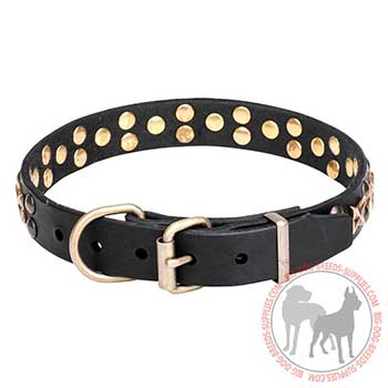 Leather Dog Collar - Reliable Walking Tool