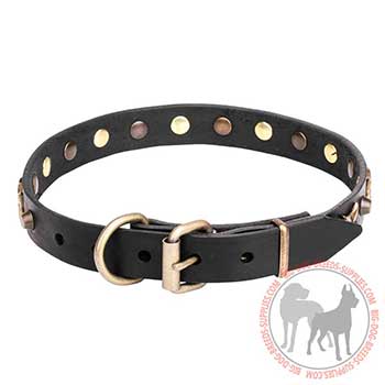Walking Leather Dog Collar with Non-corrosive Fittings
