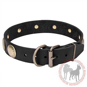 Leather Dog Collar with Firm Hardware