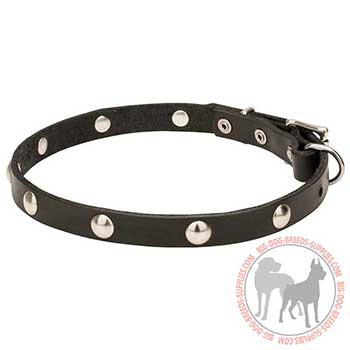 Safe Leather Dog Collar with Studs