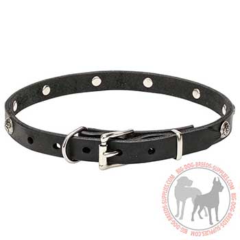 Leather Collar for Obedience Dog Training