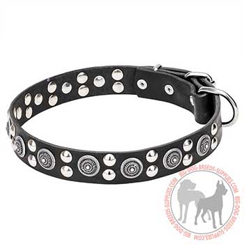 Leather Dog Collar with Silver-color Studs