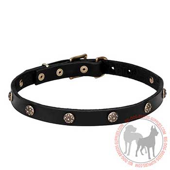 Dog Leather Collar with Elegant Design