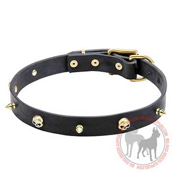 Black Leather Collar with Spikes