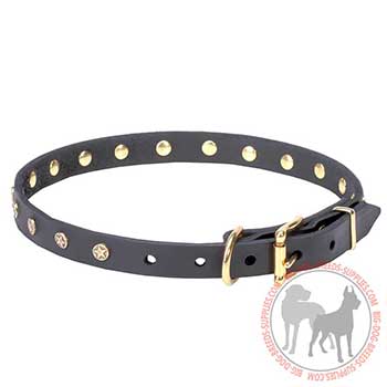 Leather Collar for Canine Stylish Walking