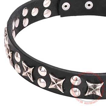 Leather Dog Collar - Stylish Walking