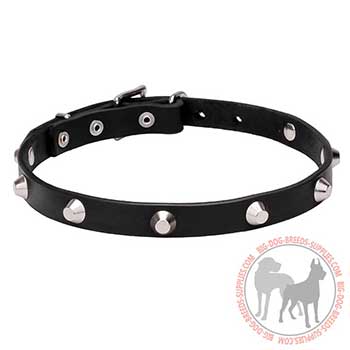 Canine Leather Collar for Walking Large Breeds