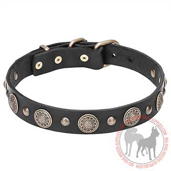 Leather Dog Collar with Different Studs