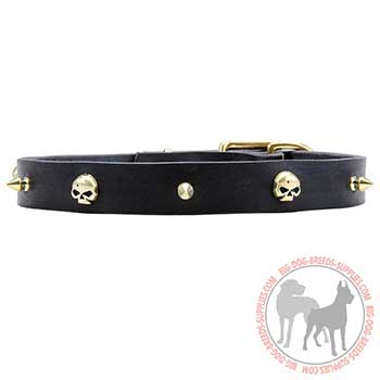 Leather Collar for Dog Walking in Style