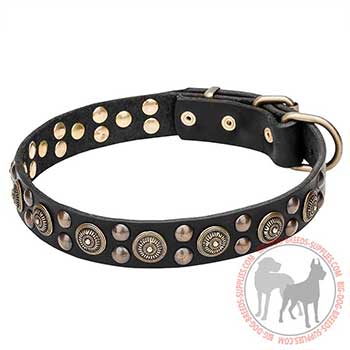 Leather Dog Collar with Corrosion-resistant Fittings