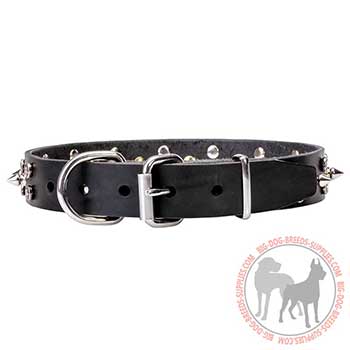 Walking Leather Dog Collar with Stars and Spikes Fittings