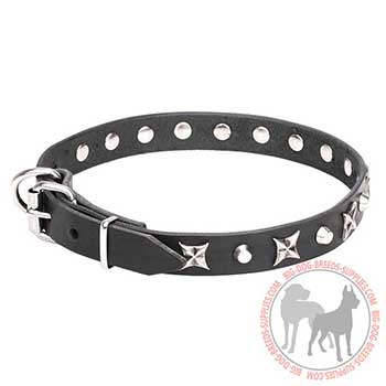 Leather Dog Collar - Reliable Walking Supply