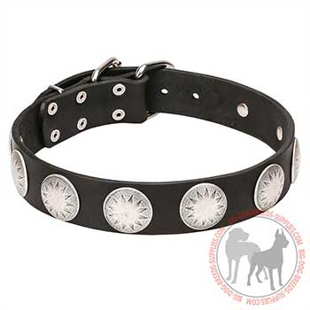 Leather Collar for Canine Stylish Walking