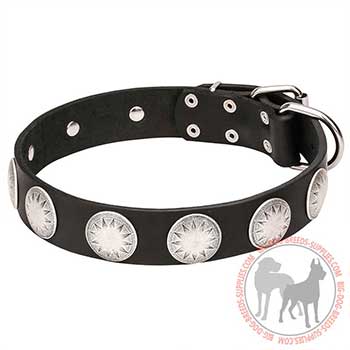 Leather Dog Collar with Wide Design