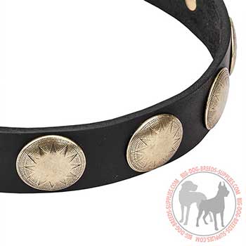 Leather Dog Collar with Golden Color Circles