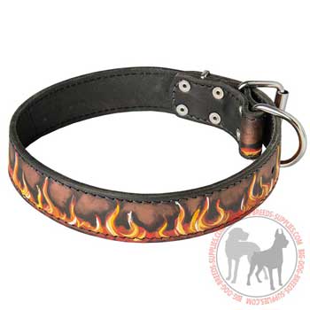 American Pit Bull Terrier Leather Collar for Glamorous Look