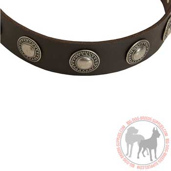 Leather Collar for Canine Training