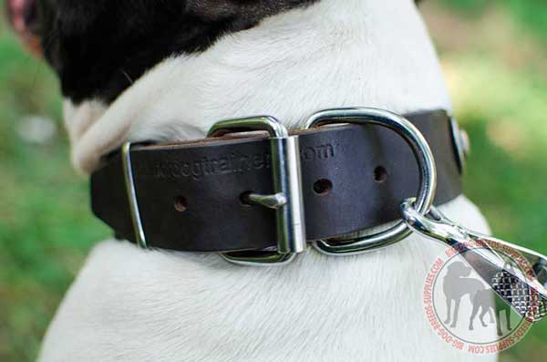 Leather Collar Nickel Buckle and Ring for Leash Attachment